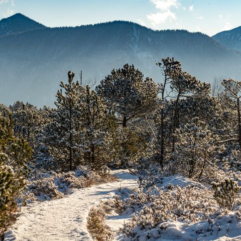 Bohlenweg im Winter mit Schnee