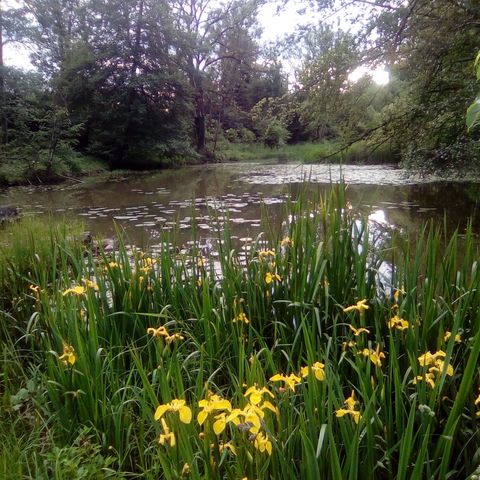 Seidlpark mit Blick auf den Teich